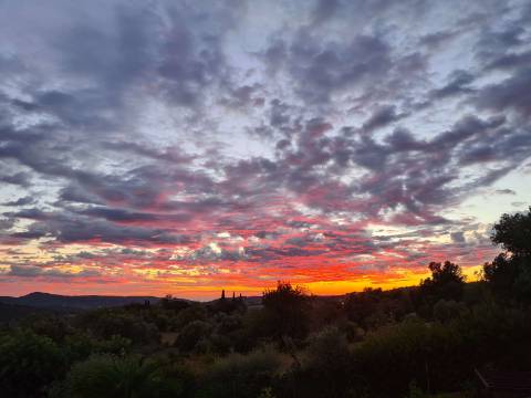 Moradia de Charme com Piscina e Vista Campo | São Brás de Alportel