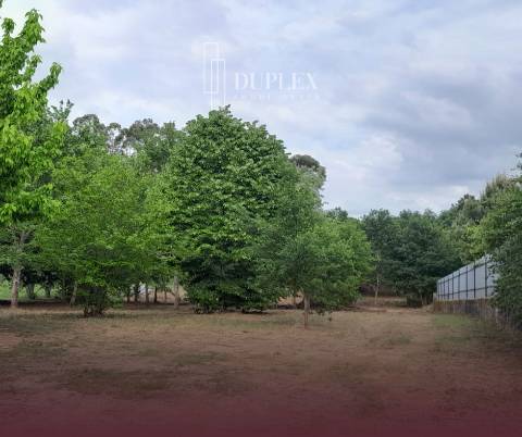 Moradia T4 Venda em Barreiros e Cepões,Viseu