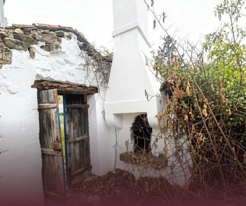 Quinta  Venda em Mangualde, Mesquitela e Cunha Alta,Mangualde