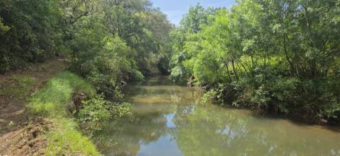 Propriedade com Ruína Única em Santa Margarida da Serra, Grândola - 19.5 Hectares com Ruína, PIP Aprovado para novas construções - Amplos e variados recursos Naturais!