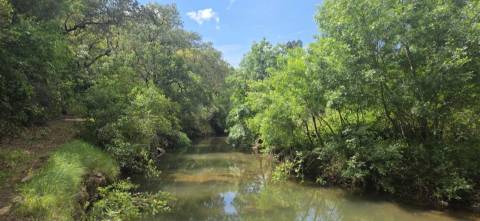 Propriedade com Ruína Única em Santa Margarida da Serra, Grândola - 19.5 Hectares com Ruína, PIP Aprovado para novas construções - Amplos e variados recursos Naturais!