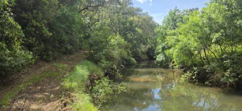 Propriedade com Ruína Única em Santa Margarida da Serra, Grândola - 19.5 Hectares com Ruína, PIP Aprovado para novas construções - Amplos e variados recursos Naturais!