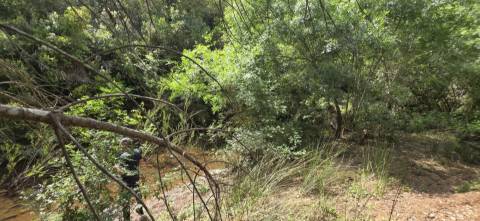 Propriedade com Ruína Única em Santa Margarida da Serra, Grândola - 19.5 Hectares com Ruína, PIP Aprovado para novas construções - Amplos e variados recursos Naturais!