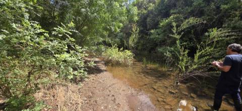 Propriedade com Ruína Única em Santa Margarida da Serra, Grândola - 19.5 Hectares com Ruína, PIP Aprovado para novas construções - Amplos e variados recursos Naturais!