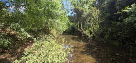 Propriedade com Ruína Única em Santa Margarida da Serra, Grândola - 19.5 Hectares com Ruína, PIP Aprovado para novas construções - Amplos e variados recursos Naturais!