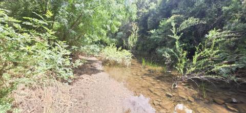 Propriedade com Ruína Única em Santa Margarida da Serra, Grândola - 19.5 Hectares com Ruína, PIP Aprovado para novas construções - Amplos e variados recursos Naturais!