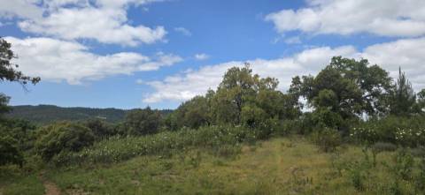 Propriedade com Ruína Única em Santa Margarida da Serra, Grândola - 19.5 Hectares com Ruína, PIP Aprovado para novas construções - Amplos e variados recursos Naturais!