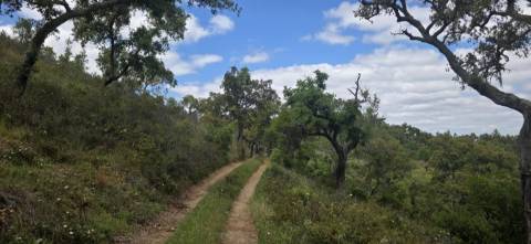 Propriedade com Ruína Única em Santa Margarida da Serra, Grândola - 19.5 Hectares com Ruína, PIP Aprovado para novas construções - Amplos e variados recursos Naturais!