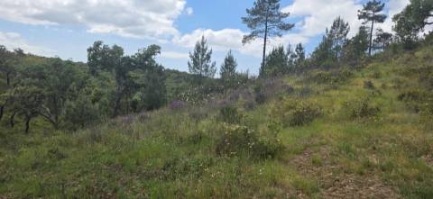 Propriedade com Ruína Única em Santa Margarida da Serra, Grândola - 19.5 Hectares com Ruína, PIP Aprovado para novas construções - Amplos e variados recursos Naturais!