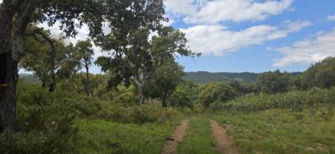 Propriedade com Ruína Única em Santa Margarida da Serra, Grândola - 19.5 Hectares com Ruína, PIP Aprovado para novas construções - Amplos e variados recursos Naturais!