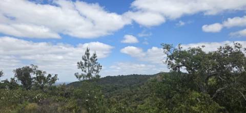 Propriedade com Ruína Única em Santa Margarida da Serra, Grândola - 19.5 Hectares com Ruína, PIP Aprovado para novas construções - Amplos e variados recursos Naturais!