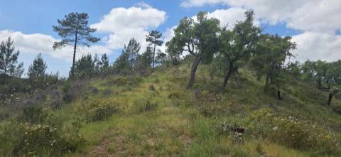 Propriedade com Ruína Única em Santa Margarida da Serra, Grândola - 19.5 Hectares com Ruína, PIP Aprovado para novas construções - Amplos e variados recursos Naturais!