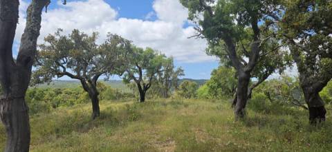 Propriedade com Ruína Única em Santa Margarida da Serra, Grândola - 19.5 Hectares com Ruína, PIP Aprovado para novas construções - Amplos e variados recursos Naturais!