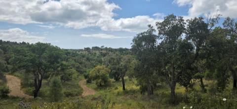 Propriedade com Ruína Única em Santa Margarida da Serra, Grândola - 19.5 Hectares com Ruína, PIP Aprovado para novas construções - Amplos e variados recursos Naturais!