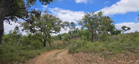 Propriedade com Ruína Única em Santa Margarida da Serra, Grândola - 19.5 Hectares com Ruína, PIP Aprovado para novas construções - Amplos e variados recursos Naturais!