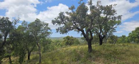 Propriedade com Ruína Única em Santa Margarida da Serra, Grândola - 19.5 Hectares com Ruína, PIP Aprovado para novas construções - Amplos e variados recursos Naturais!