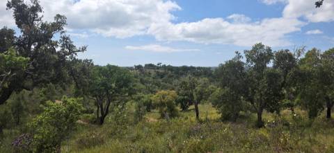 Propriedade com Ruína Única em Santa Margarida da Serra, Grândola - 19.5 Hectares com Ruína, PIP Aprovado para novas construções - Amplos e variados recursos Naturais!