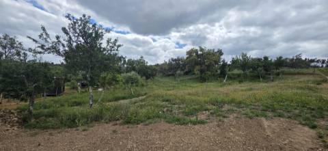 Propriedade com Ruína Única em Santa Margarida da Serra, Grândola - 19.5 Hectares com Ruína, PIP Aprovado para novas construções - Amplos e variados recursos Naturais!