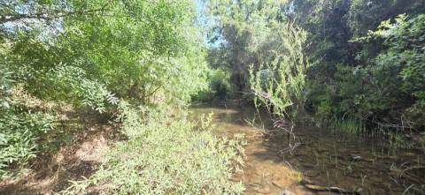 Propriedade com Ruína Única em Santa Margarida da Serra, Grândola - 19.5 Hectares com Ruína, PIP Aprovado para novas construções - Amplos e variados recursos Naturais!