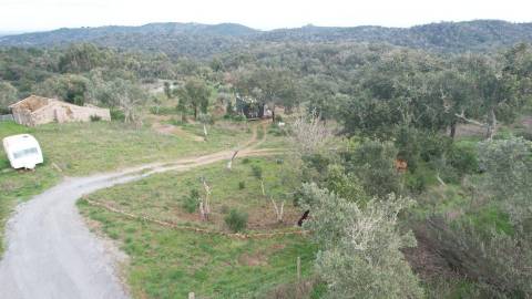 Propriedade com Ruína Única em Santa Margarida da Serra, Grândola - 19.5 Hectares com Ruína, PIP Aprovado para novas construções - Amplos e variados recursos Naturais!