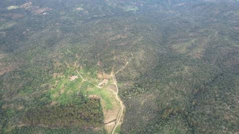 Propriedade com Ruína Única em Santa Margarida da Serra, Grândola - 19.5 Hectares com Ruína, PIP Aprovado para novas construções - Amplos e variados recursos Naturais!